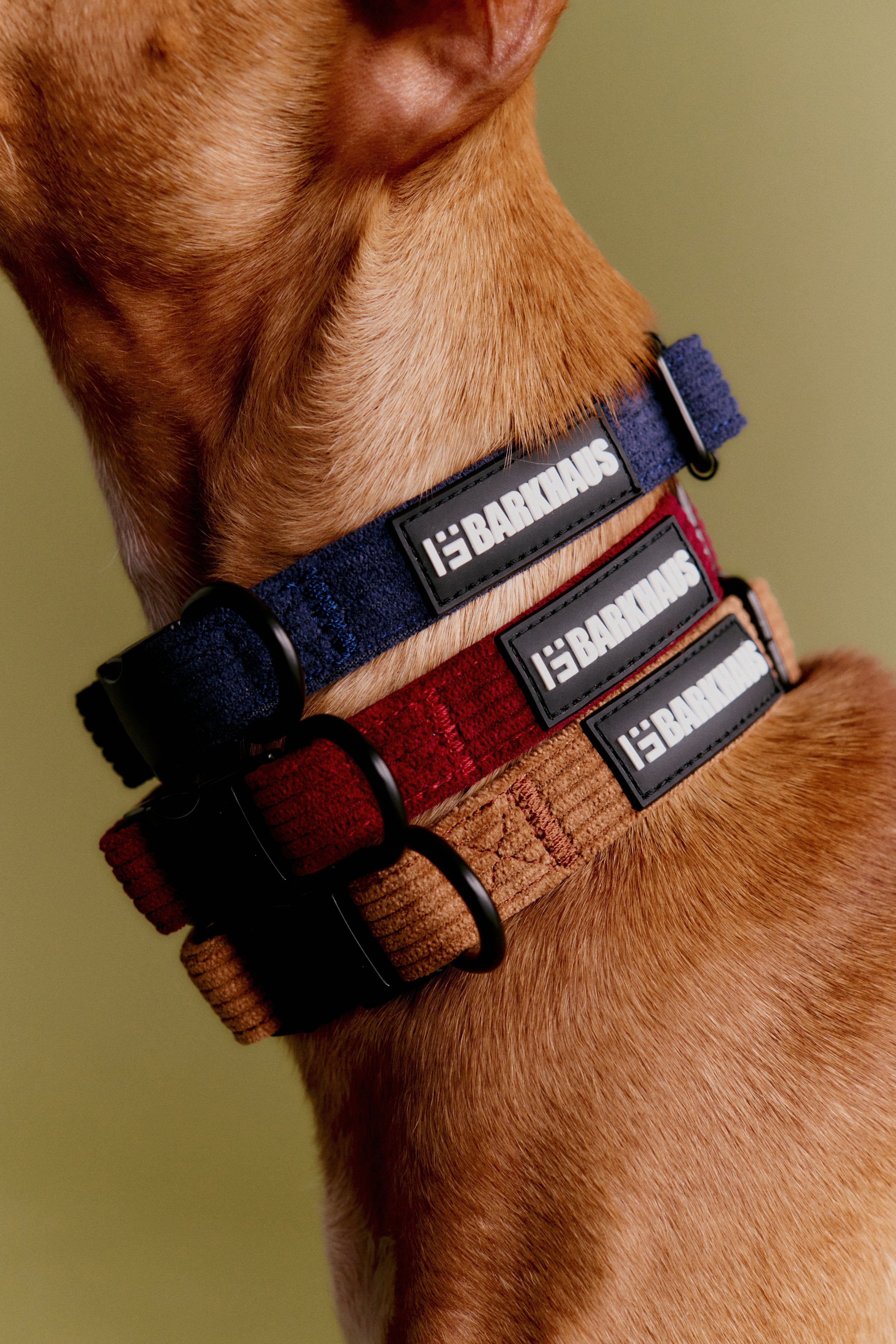 Accessori