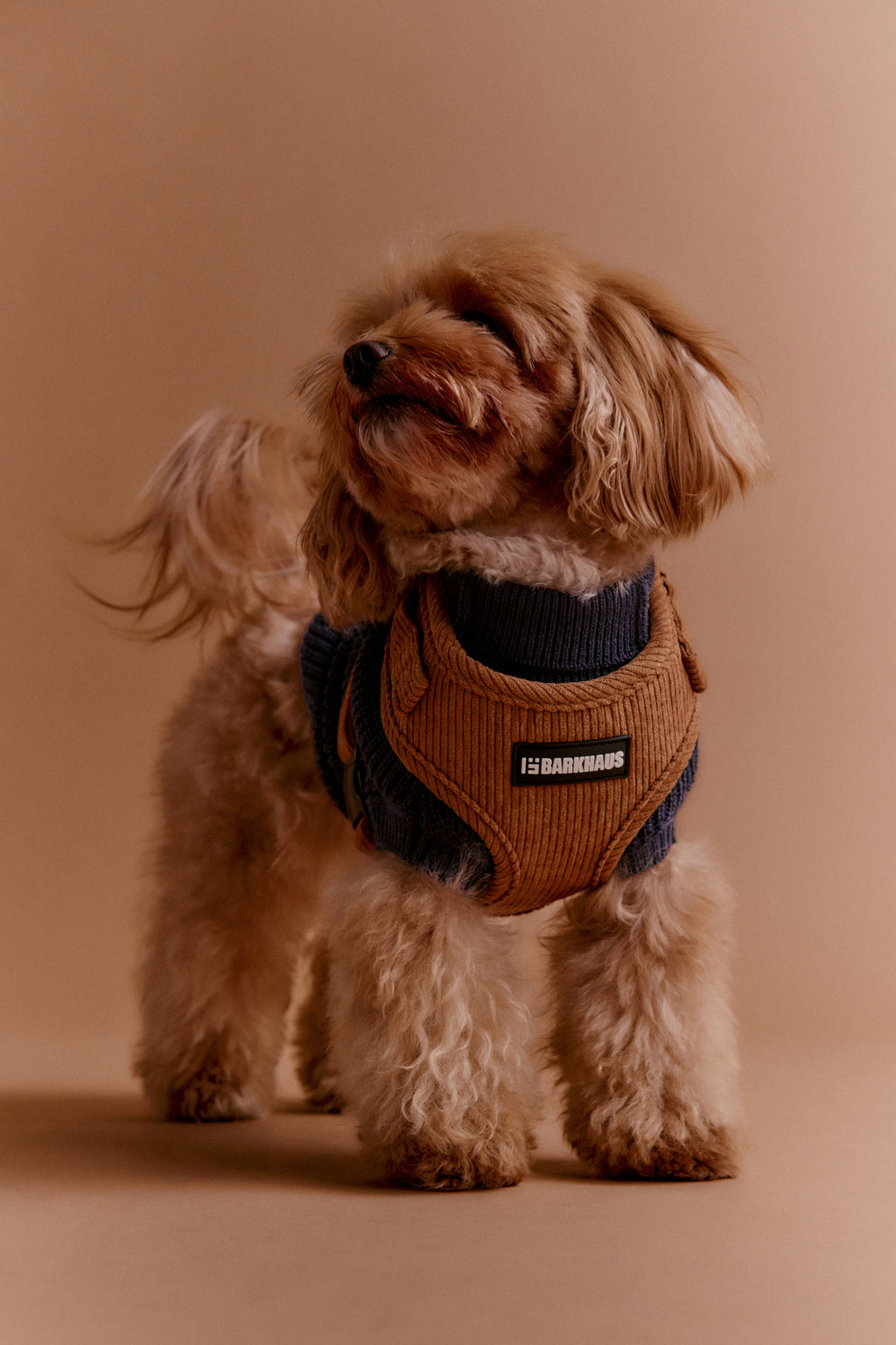 Pettorine in corduroy