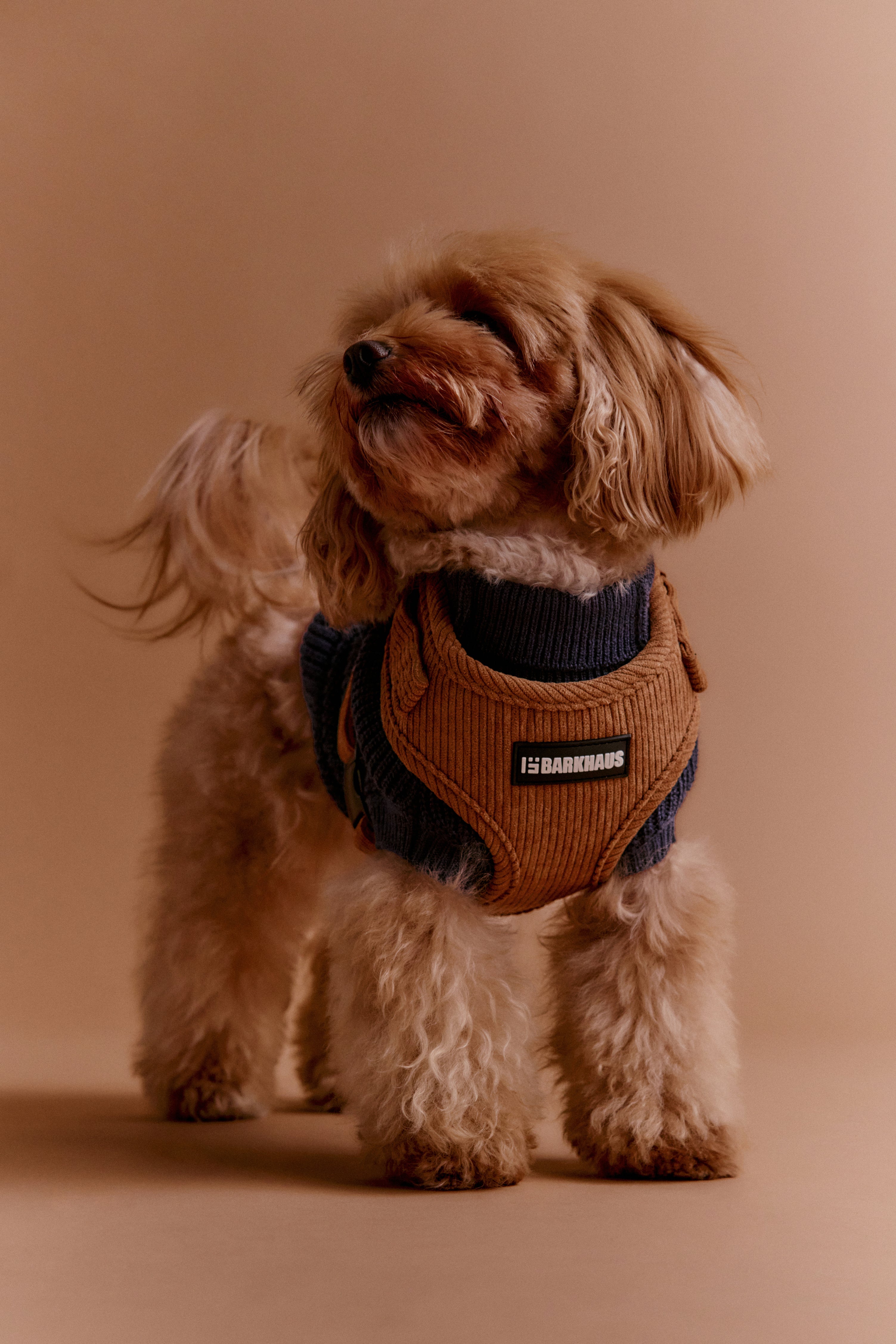 Pettorine in corduroy