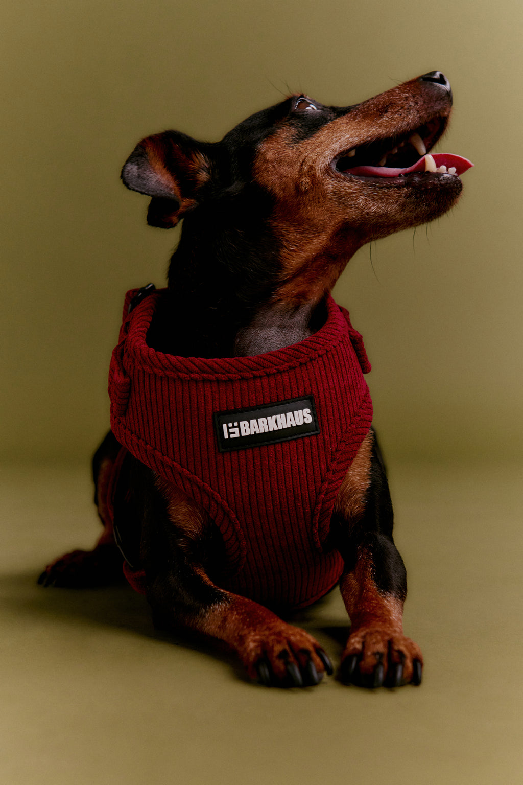 Pettorine in corduroy