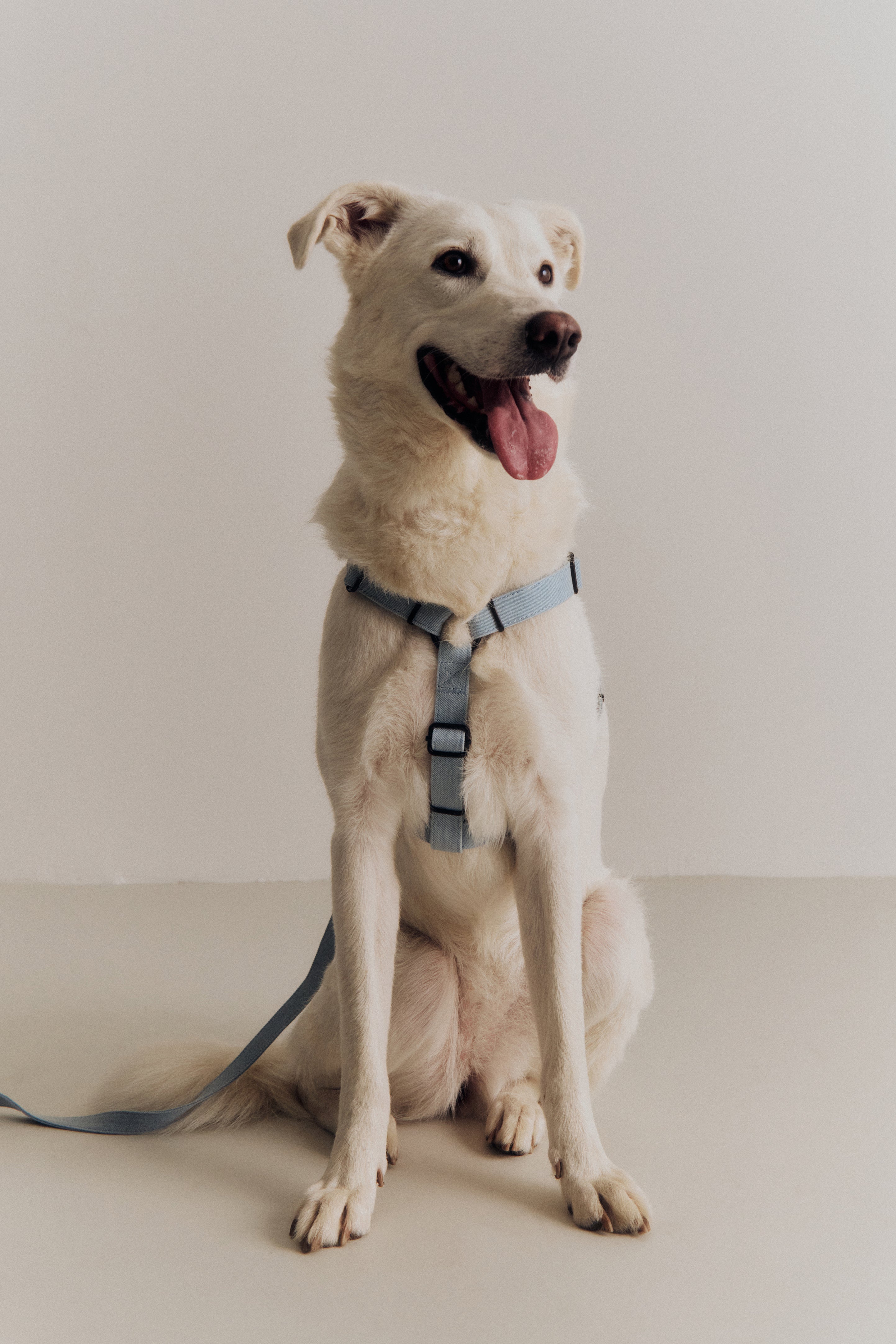 Pettorina ad H in denim